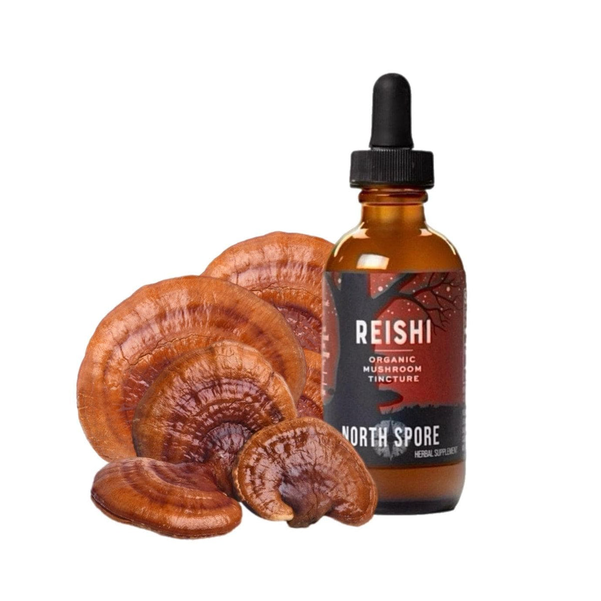 Wellness Supplements Organic Reishi Mushroom Tincture
