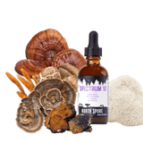 Image thumbnail: Wellness Supplements Organic Spectrum 10 Mushroom Blend Tincture