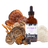 Organic Spectrum 10 Mushroom Blend Tincture