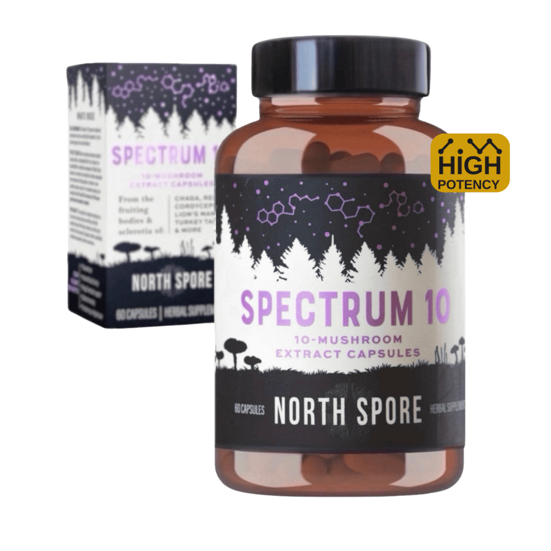 Wellness Supplements Organic ‘Spectrum 10’ Mushroom Capsules (High Potency)