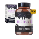 Image thumbnail: Wellness Supplements Organic ‘Spectrum 10’ Mushroom Capsules (High Potency)