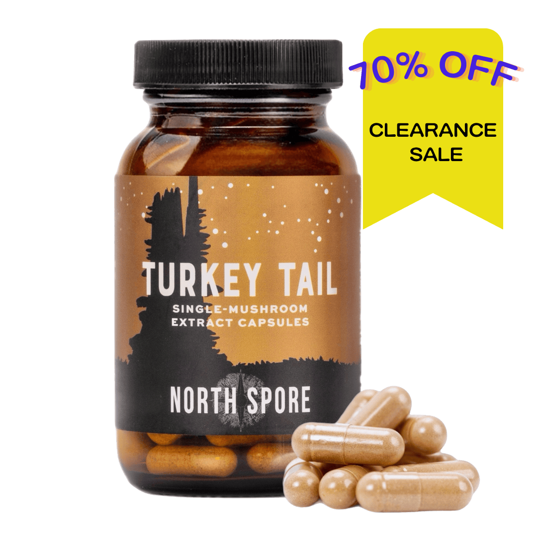 Wellness Supplements Organic Turkey Tail Mushroom Capsules (120 ct)