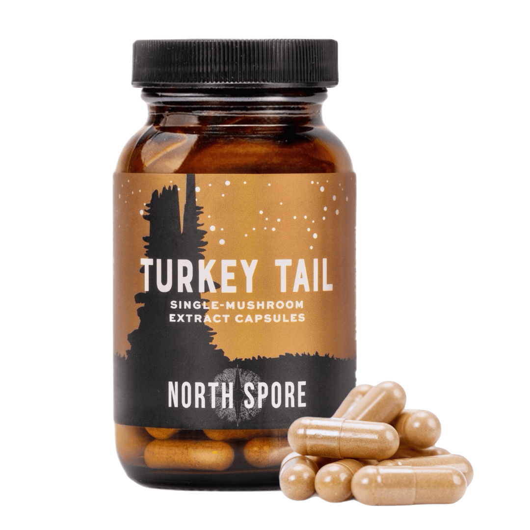 Wellness Supplements Organic Turkey Tail Mushroom Capsules
