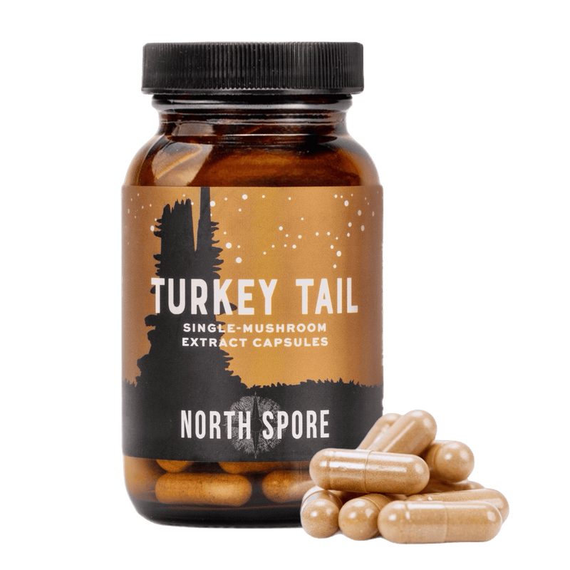 Wellness Supplements Organic Turkey Tail Mushroom Capsules