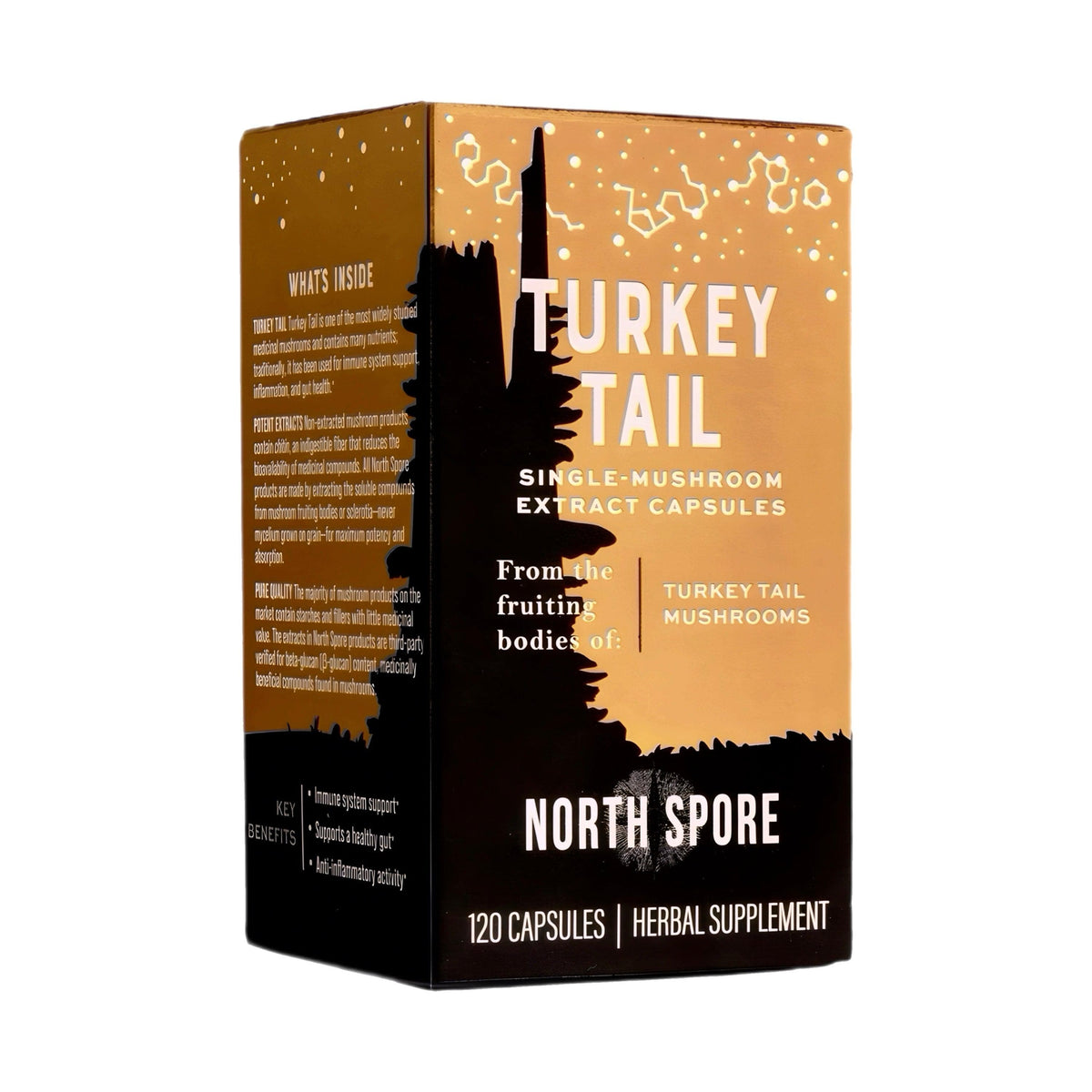 Wellness Supplements Organic Turkey Tail Mushroom Capsules