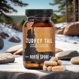Image thumbnail: Wellness Supplements Organic Turkey Tail Mushroom Capsules
