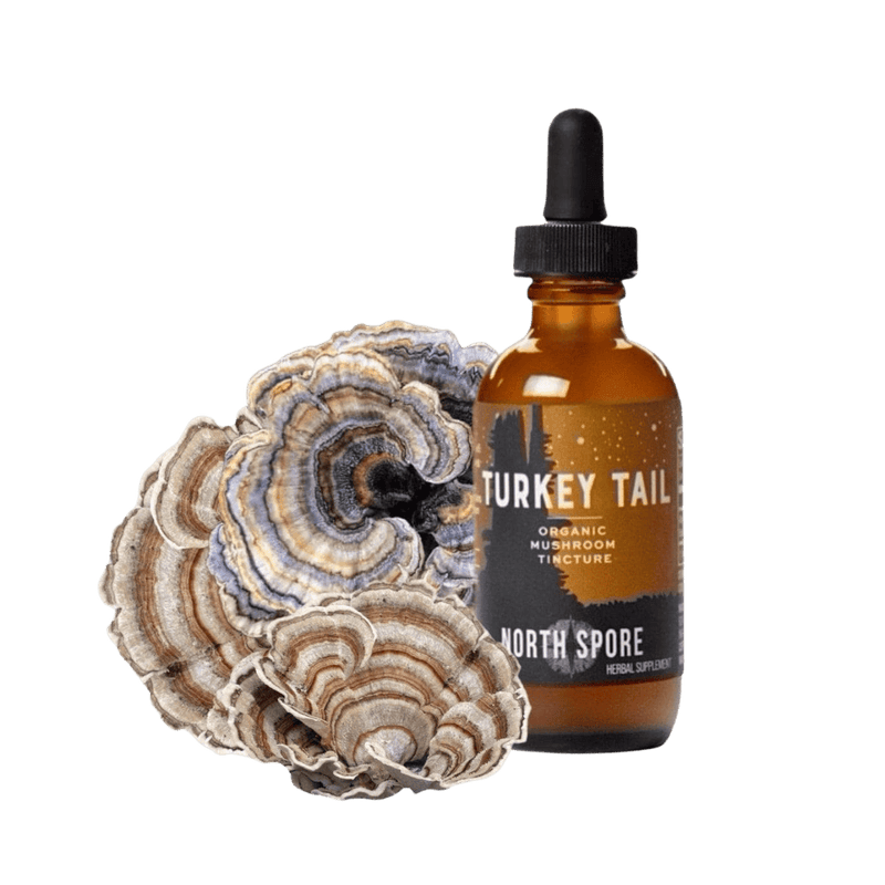 Wellness Supplements Organic Turkey Tail Mushroom Tincture