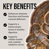 Image thumbnail: Wellness Supplements Organic Turkey Tail Mushroom Tincture