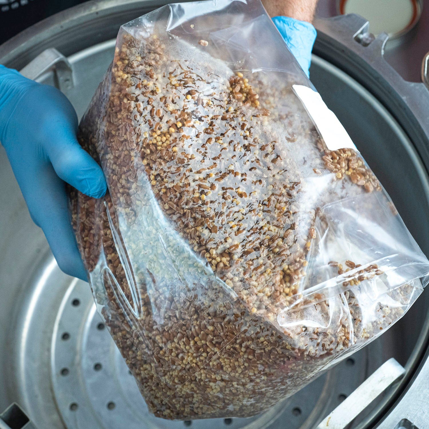 All American 1941X Mushroom Cultivation Sterilizer | Mycology Lab