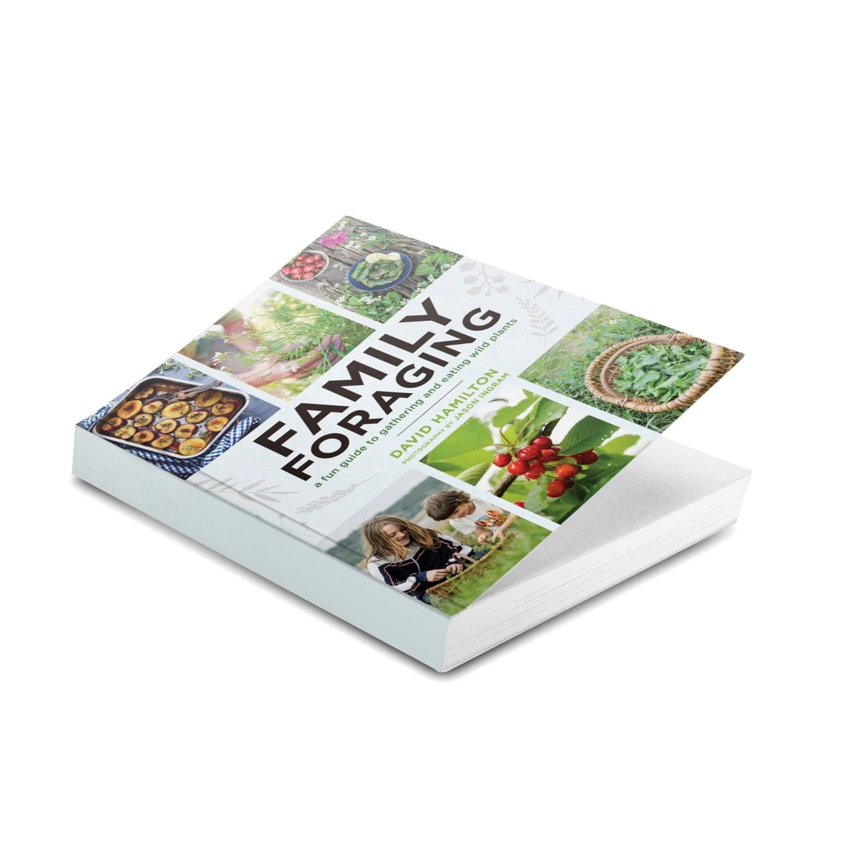 Book Family Foraging: A Fun Guide to Eating Wild Plants