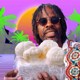 Image thumbnail: Brand Collab Turnip Vegan Organic Lion's Mane Mushroom Growing Kit