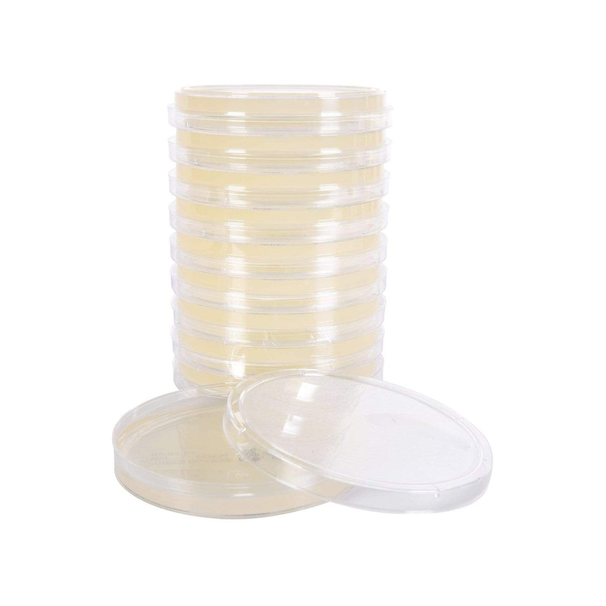 Cultivation Equipment Agar Petri Dish