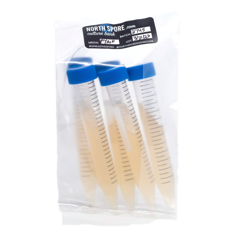 Pre-Poured Sterile Agar Slants for Culture Storage | Mycology Lab ...