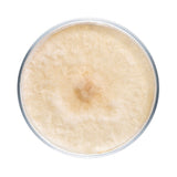 Image thumbnail: Culture Agaricus Mushroom Agar Plate Culture