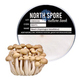 Image thumbnail: Culture Beech Mushroom Plate Culture