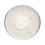 Image thumbnail: Culture Blue Oyster Mushroom Agar Plate Culture