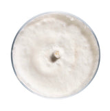 Image thumbnail: Culture Blue Oyster Mushroom Agar Plate Culture