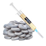 Image thumbnail: Culture Blue Oyster Mushroom Liquid Culture Syringe