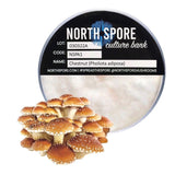 Image thumbnail: Culture Chestnut Mushroom Plate Culture