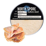 Image thumbnail: Culture Chicken of the Woods Plate Culture