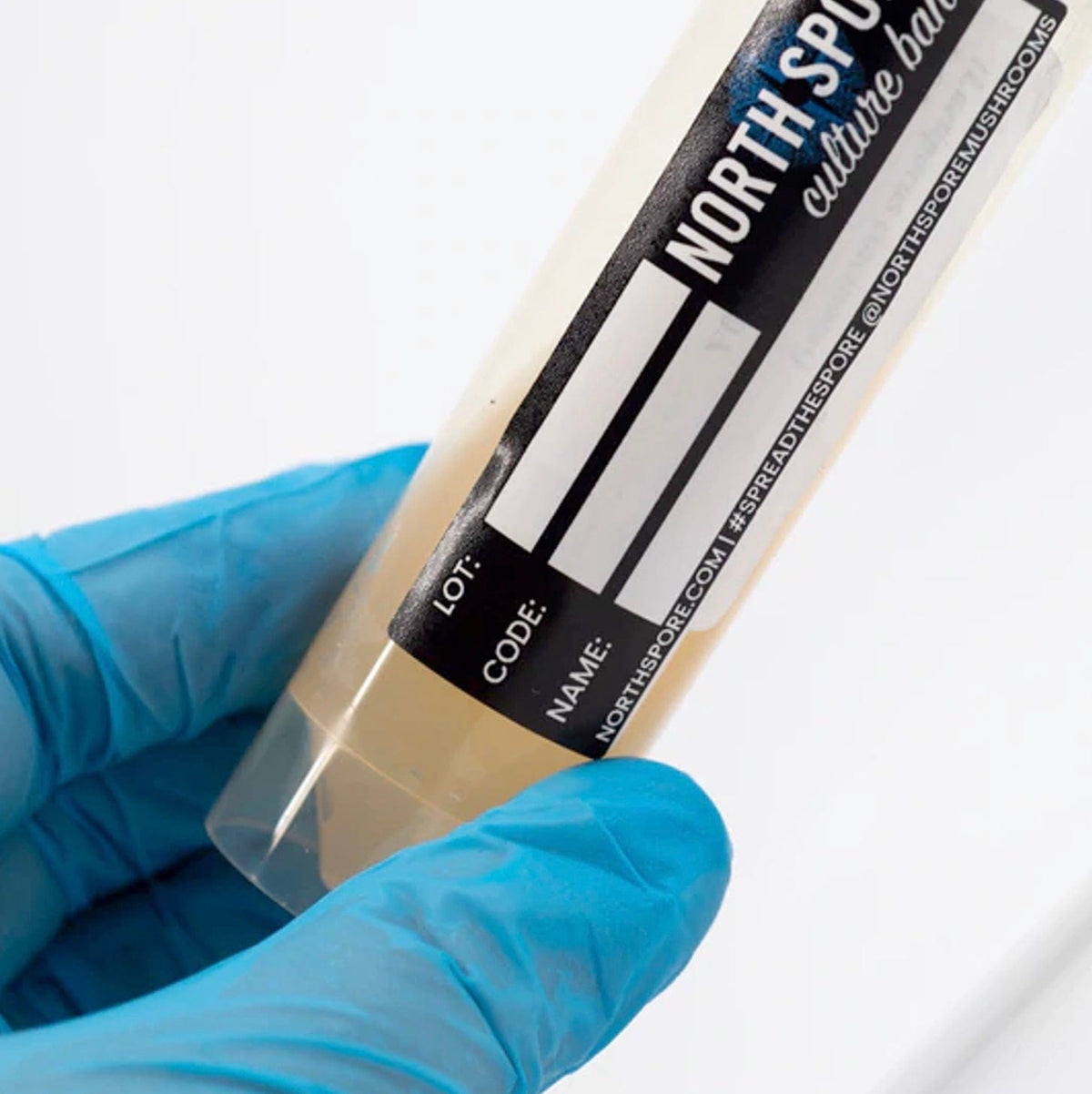 Culture Golden Oyster Mushroom Slant Culture