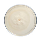 Image thumbnail: Culture Hen of the Woods (Maitake) Plate Culture