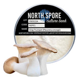 Image thumbnail: Culture King Trumpet Mushroom Plate Culture