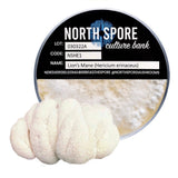 Image thumbnail: Culture Lion's Mane Mushroom Plate Culture