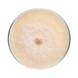 Image thumbnail: Culture Morel Mushroom Agar Plate Culture