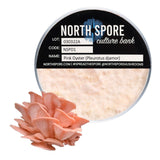 Image thumbnail: Culture Pink Oyster Mushroom Plate Culture