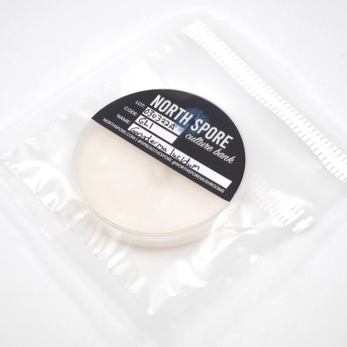 Culture Plastic Degrading Mushroom Culture Plate