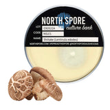 Image thumbnail: Culture Shiitake Mushroom Agar Plate Culture