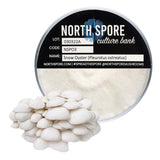 Image thumbnail: Culture Snow Oyster Mushroom Agar Plate Culture
