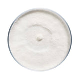 Image thumbnail: Culture Turkey Tail Mushroom Agar Plate Culture