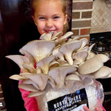 Image thumbnail: Fruiting Block Italian Oyster Mushroom Grow Kit Fruiting Block