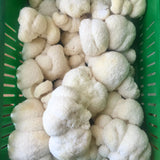 Image thumbnail: Grain Spawn 6 lb. Organic Lion's Mane Mushroom Grain Spawn