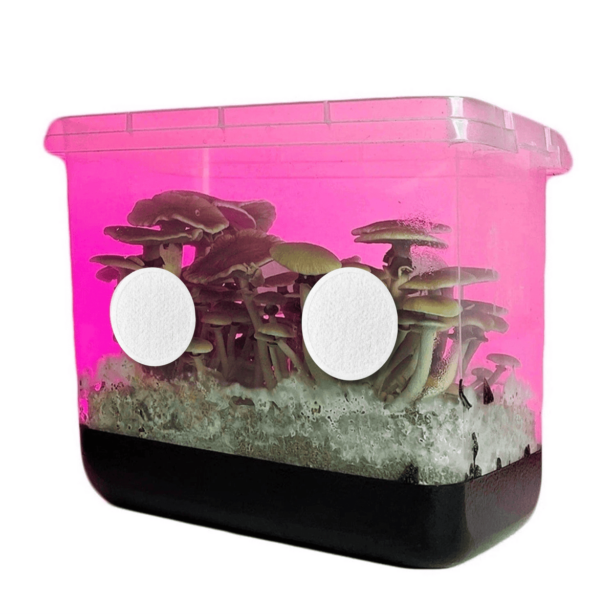 Grow Bags & Filters 2" Adhesive Monotub Membrane Filters