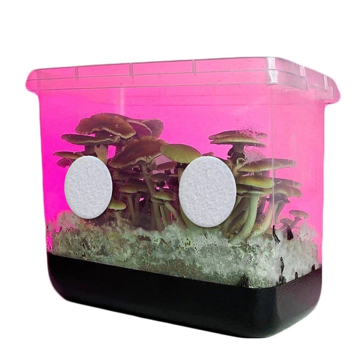 Grow Bags & Filters 3" Adhesive Monotub Disc Filters