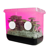 Image thumbnail: Grow Bags & Filters 3