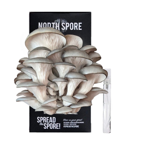 https://northspore.com/cdn/shop/products/grow-your-own-mushrooms-kit-blue-oyster-mushroom-spray-grow-kit-29443129507942_grande.jpg?v=1670987577