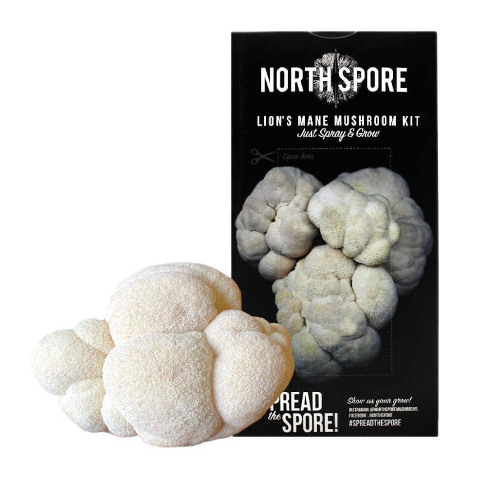 Organic Lion's Mane 'Spray & Grow' Mushroom Growing Kit North Spore