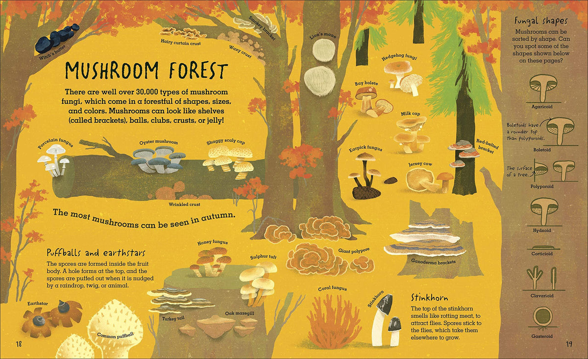 Humongous Fungus (by Lynne Boddy)