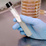 Image thumbnail: Laboratory Supplies 36 ml Autoclavable Glass Test Tubes