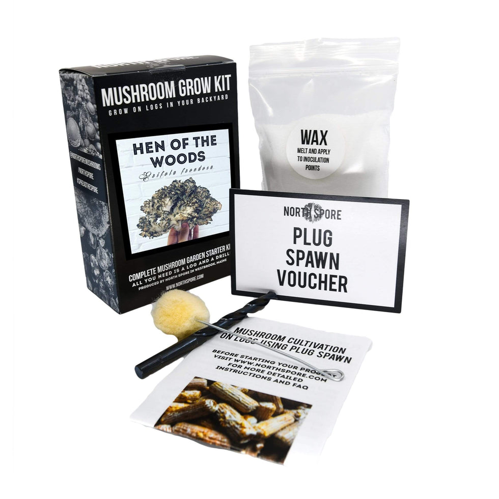 Maitake Mushroom Kit Grow Hen of the Woods Mushrooms North Spore