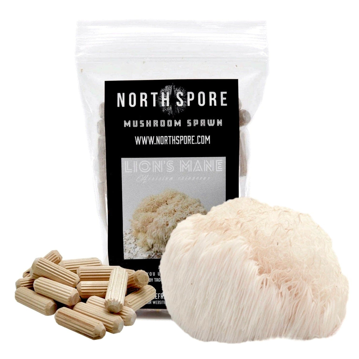 Organic Lion's Mane Mushroom Plug Spawn – North Spore
