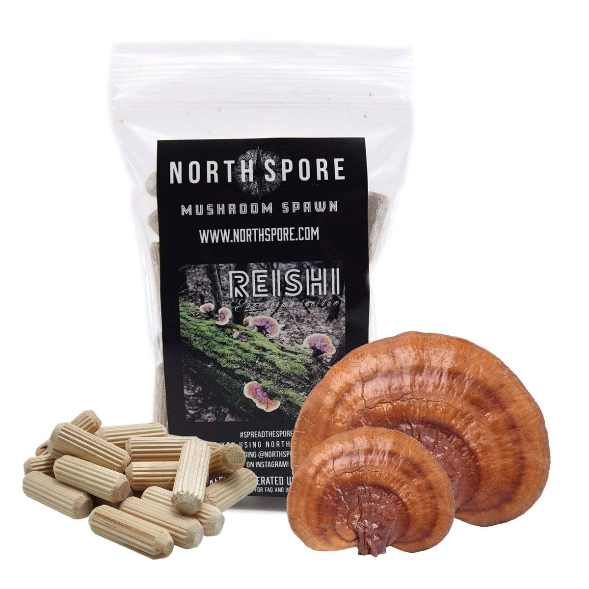 Organic Red Reishi Mushroom Plug Spawn – North Spore
