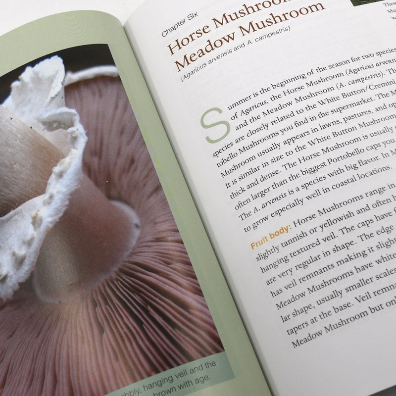 Print Books Edible & Medicinal Mushrooms of New England