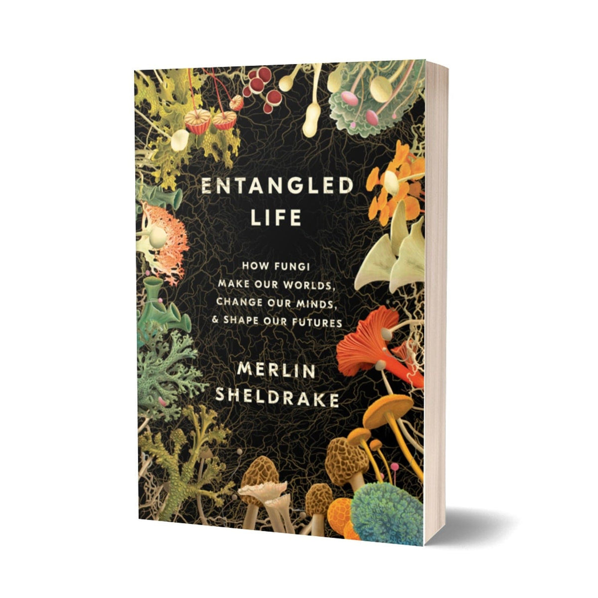 Print Books Entangled Life: How Fungi Make Our Worlds, Change Our Minds