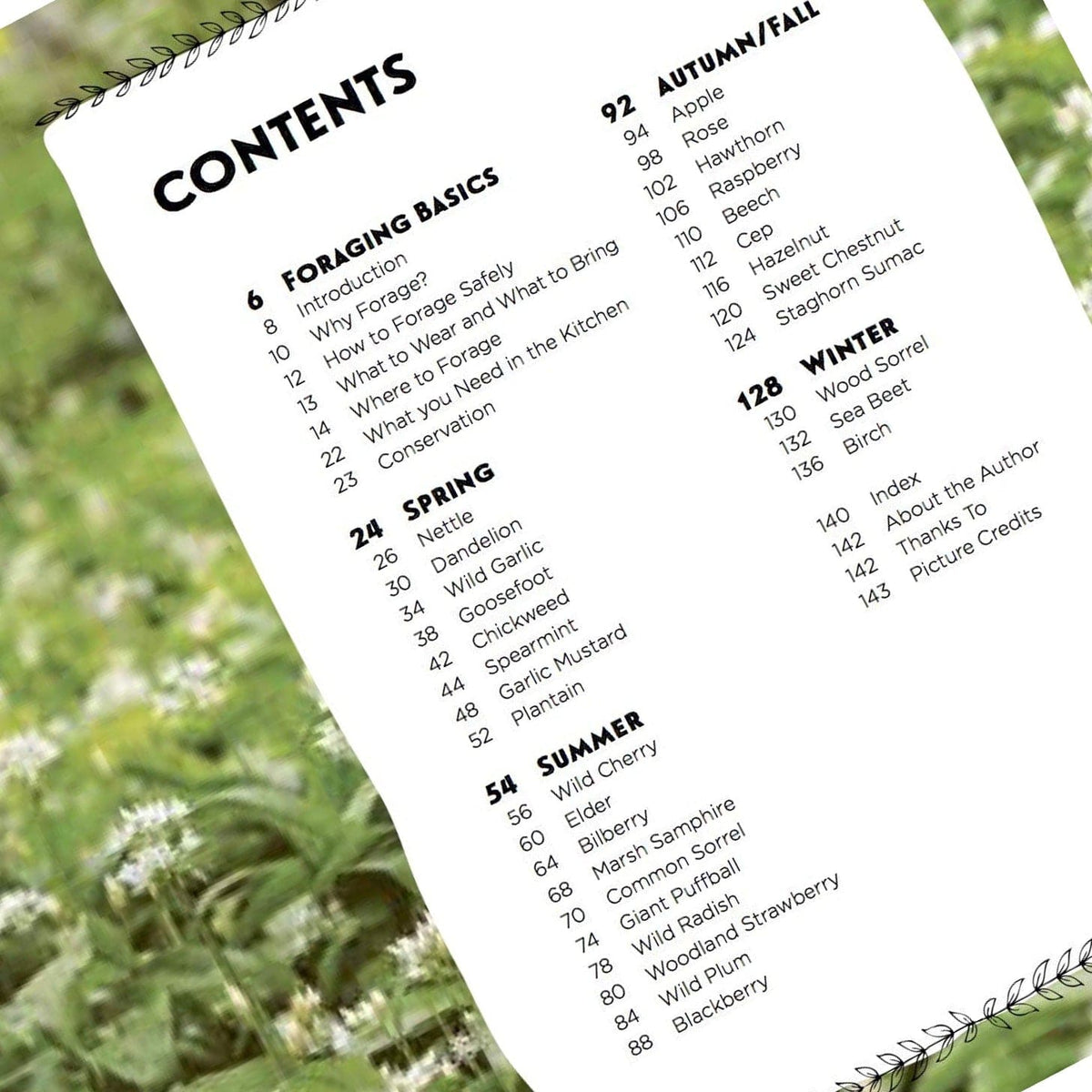 Print Books Family Foraging: A Fun Guide to Eating Wild Plants