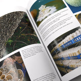 Image thumbnail: Print Books Growing Gourmet & Medicinal Mushrooms